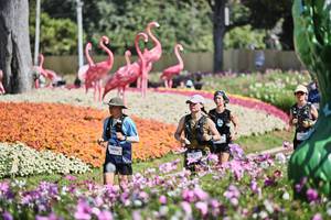 BIB: 
                            <button type="button" onclick="openModal(27793709)" class="btn btn-primary btn-sm float-right btn-popup" data-toggle="modal" data-target=".modal-high-quality">
                        <i class="fas fa-shopping-cart"></i> Add to Cart
                    </button>
                                            <button type="button" onclick="isThisMe(27793709, true)" class="btn btn-success btn-sm float-right btn-popup btn-isme hidden" data-toggle="tooltip" data-placement="bottom" title="นี่คือรูปของคุณใช่ไหม คลิกที่นี่เพื่อเอาเข้าอัลบั้ม">
                        <i class="fas fa-plus"></i> Add to album
                    </button>
                    <button type="button" onclick="isThisMe(27793709, false)" class="btn btn-warning btn-sm float-right btn-popup btn-isnotme hidden">
                        <i class="fas fa-ban"></i> Remove from album
                    </button>